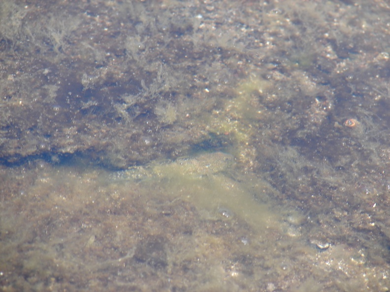 maui_pictures_257.jpg