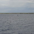 maui_pictures_171
