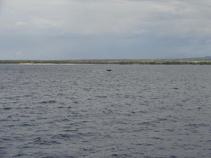 maui_pictures_171