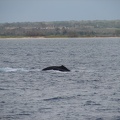 maui_pictures_172