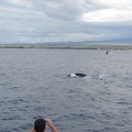 maui_pictures_174