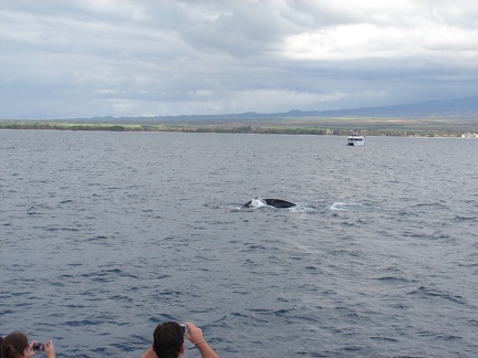 maui_pictures_174