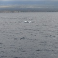maui_pictures_176