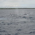 maui_pictures_180