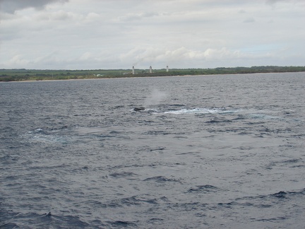maui_pictures_181