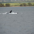 maui_pictures_184