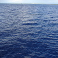 maui_pictures_192