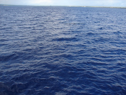 maui_pictures_192