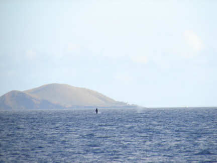 maui_pictures_197