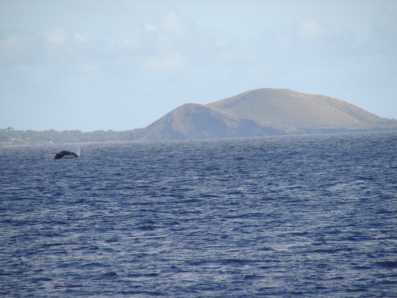 maui_pictures_198.jpg
