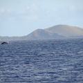 maui_pictures_198