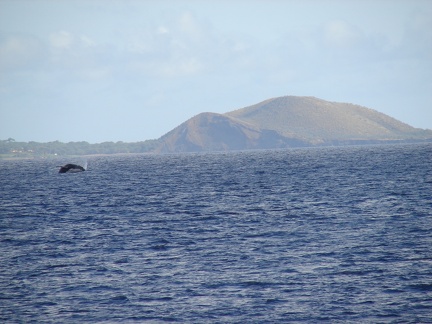 maui_pictures_198