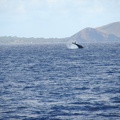 maui_pictures_199