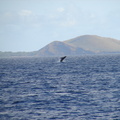 maui_pictures_200
