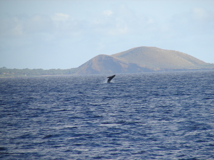 maui_pictures_200