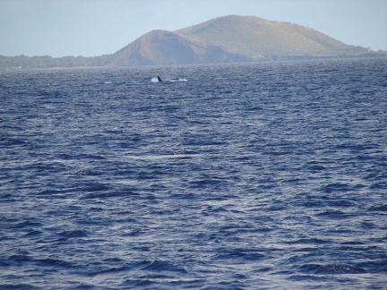 maui_pictures_201