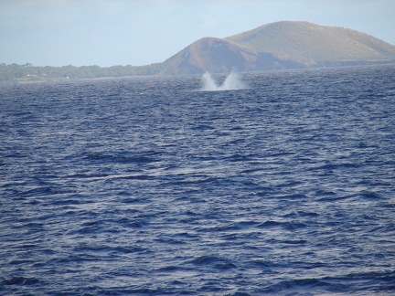 maui_pictures_202