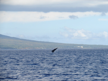 maui_pictures_203