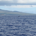 maui_pictures_204.jpg