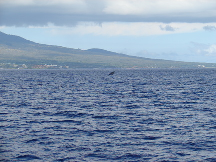 maui_pictures_204