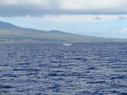 maui_pictures_205