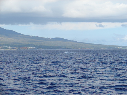 maui_pictures_206