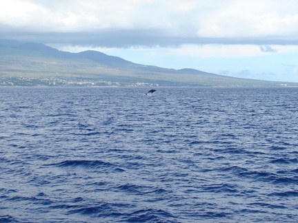maui_pictures_208