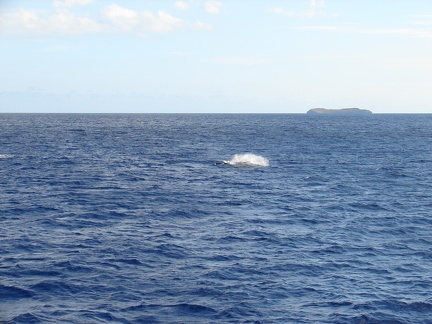 maui_pictures_210