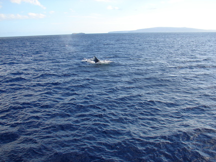 maui_pictures_217