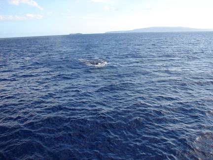 maui_pictures_219