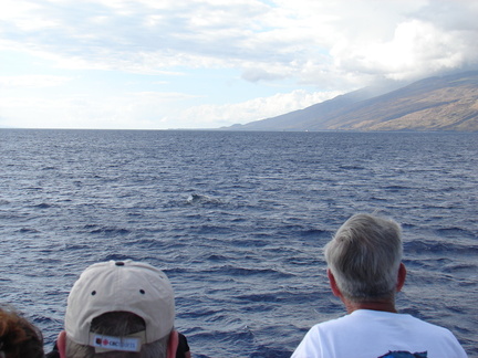 maui_pictures_223