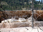 Mammoth Geyser Basin