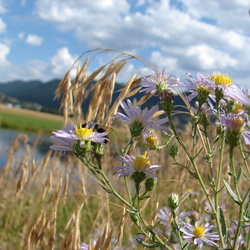Grand Teton National Park
