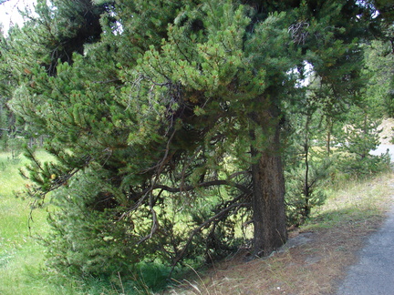 Pictures 202