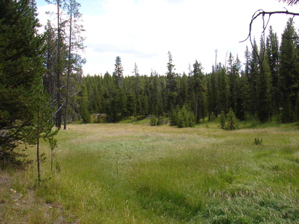 Pictures 203