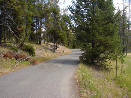 Pictures 204