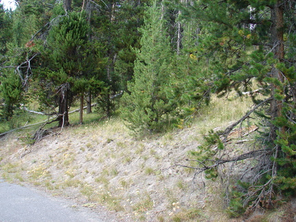 Pictures 206