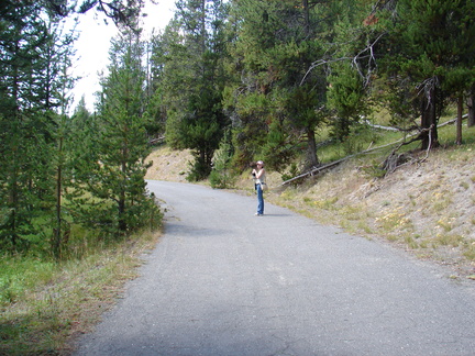 Pictures 207