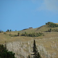 Yellowstone 103