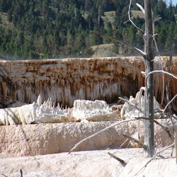 Mammoth Geyser Basin