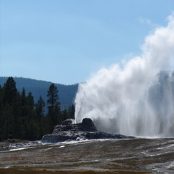 Yellowstone & Grand Tetons