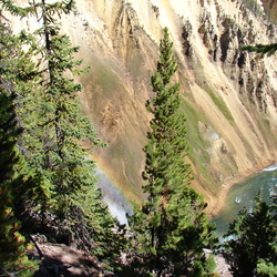 Lower Yellowstone Falls